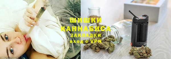 прущие грибы Навашино