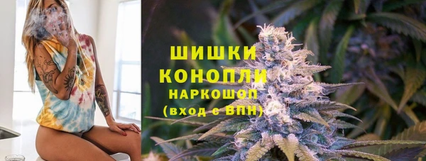 прущие грибы Навашино