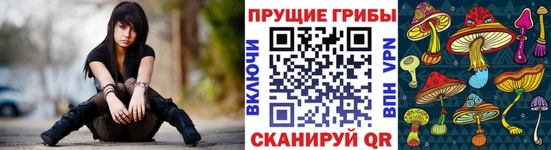 Купить закладки  Макарьев  Галлюциногенные грибы мухоморы 